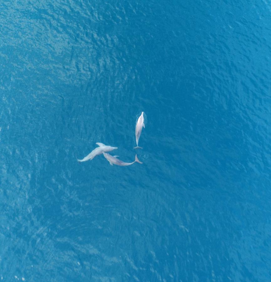 Island Pavilion Hangnaameedhoo エクステリア 写真